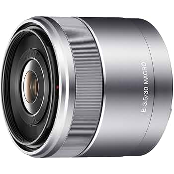 SONY APS-C専用 単焦点マクロレンズE30mmMacroSEL30M35 81Vx0nxv0nL._UF350,350_QL50_.jpg