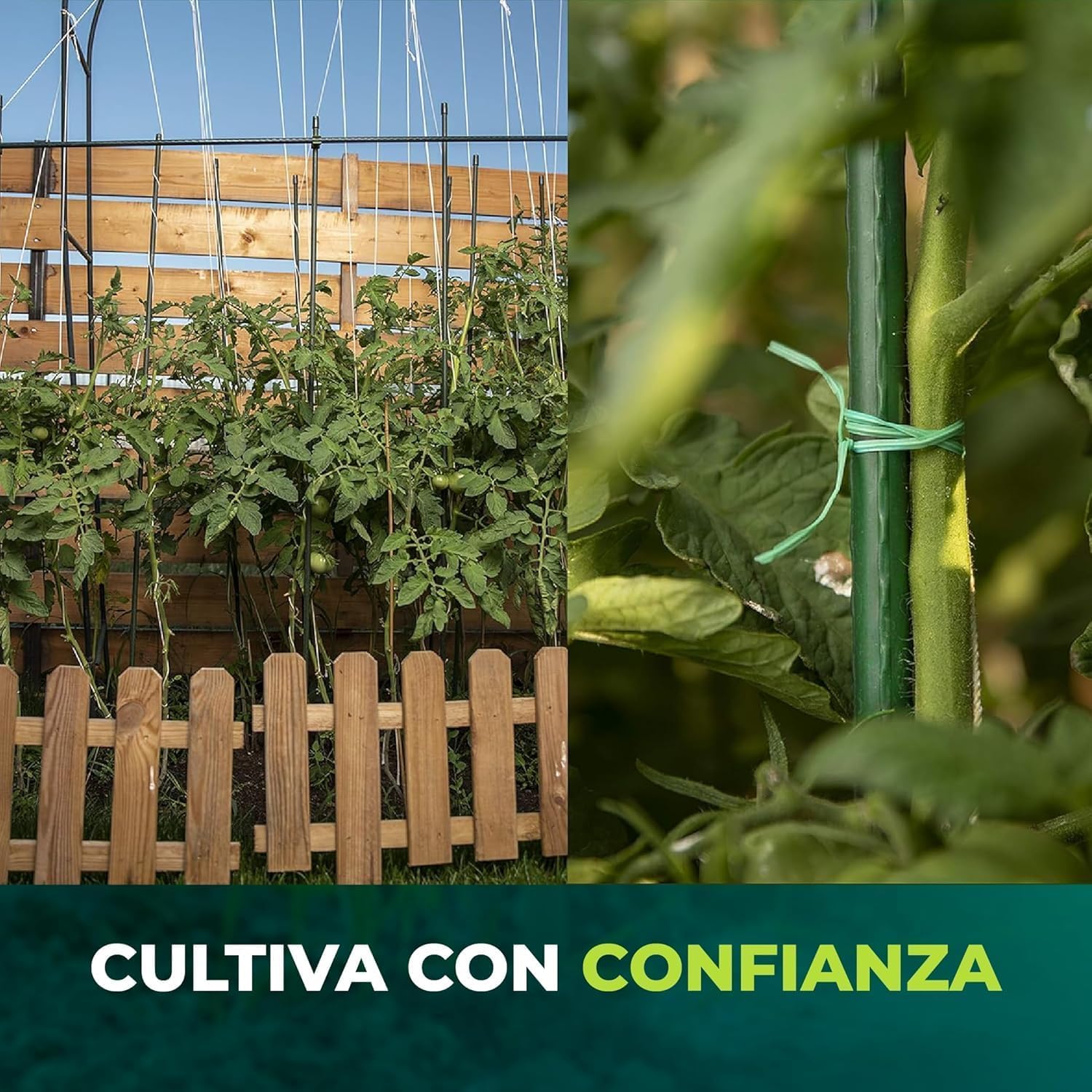 CONTROL GARDEN Pack 30 Tutores de Acero Plastificado para Plantas 150cm Ø 9 mm | Varillas Crecimiento Plantas | Soporte Cultivos Apto Interior y Exterior (30)