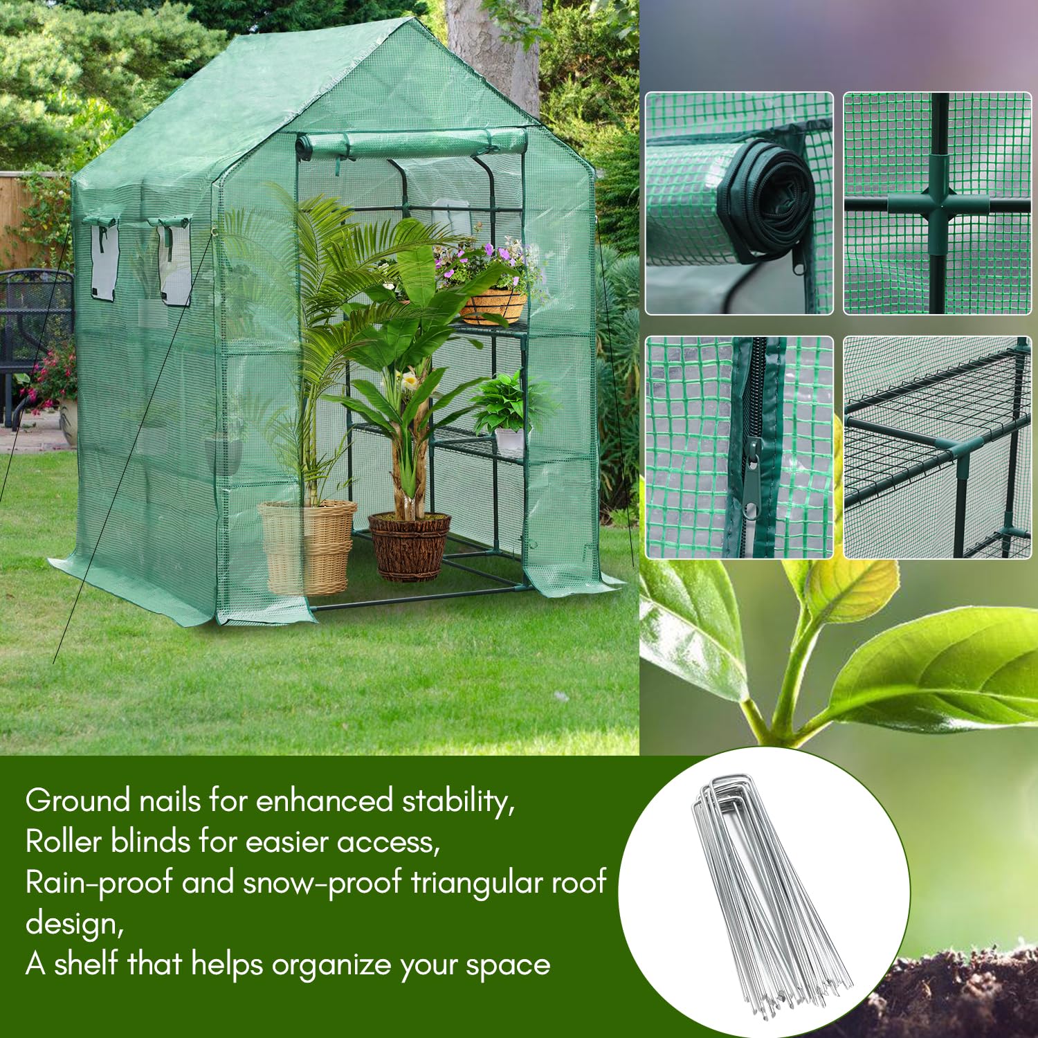 Cuáles son los diferentes tipos de estructuras de invernadero? - Miilkiia, image size:1500x1500