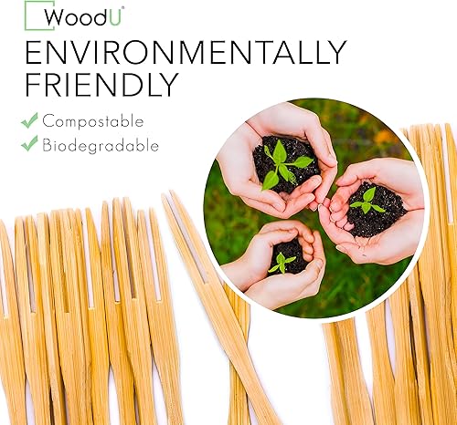 Miniatura 12 de Palillos de madera de bambú para paletas – 7 pulgadas 100 piezas palillos de dientes para aperitivos – Palillos de cóctel para frutas, Kabab