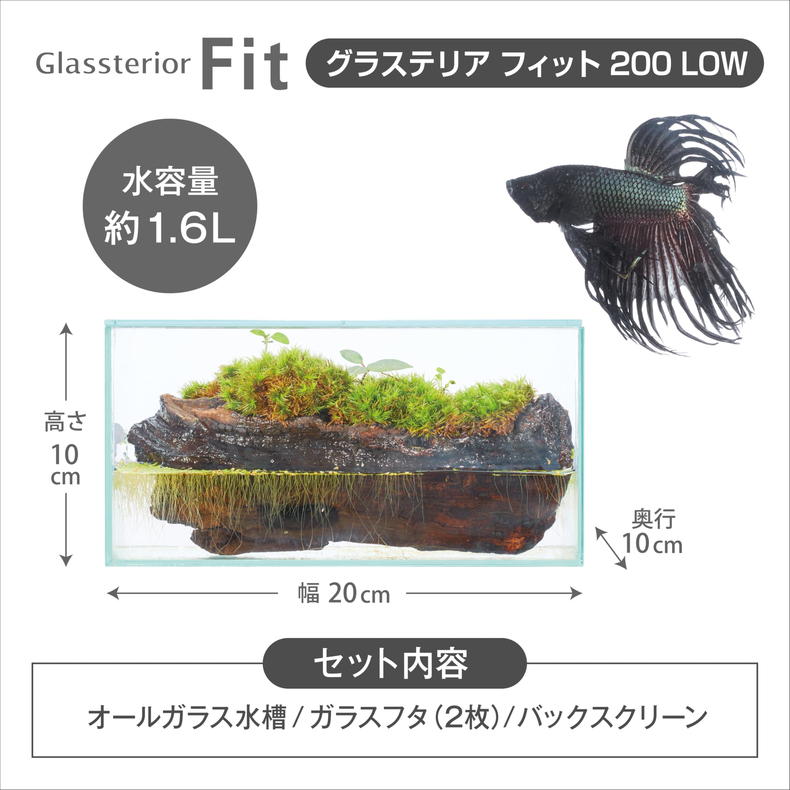 Amazon | GEX AQUARIUM グラステリアフィット200LOW ガラスフタ