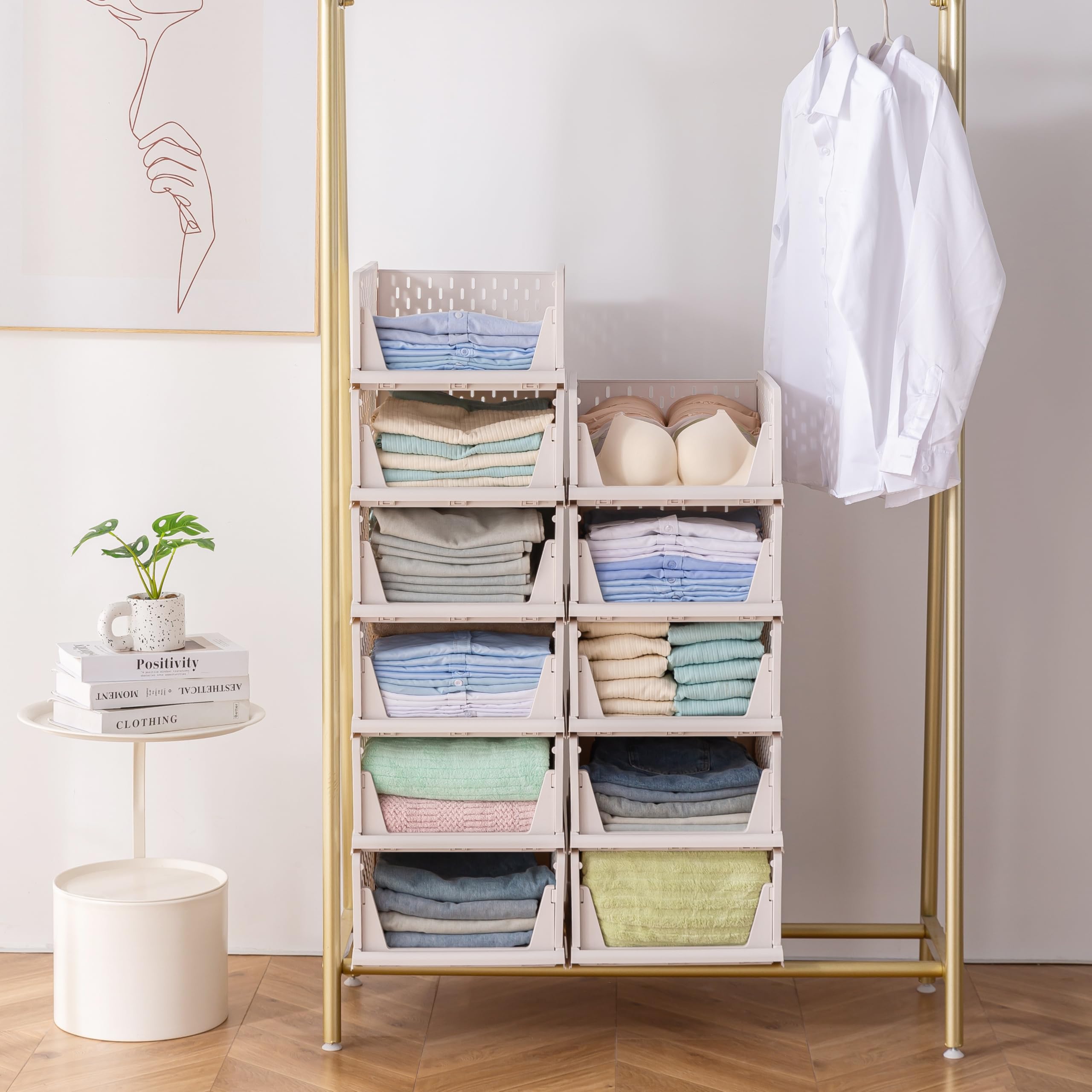 Deuline 10 x Schrank-Organizer klappbar, Kleiderschrank-Organizer stapelbar, ausziehbarer Korb, Aufbewahrung und Organisation, Kunststoff, Schlafzimmer, Büro, Badezimmer, Weiß 521161