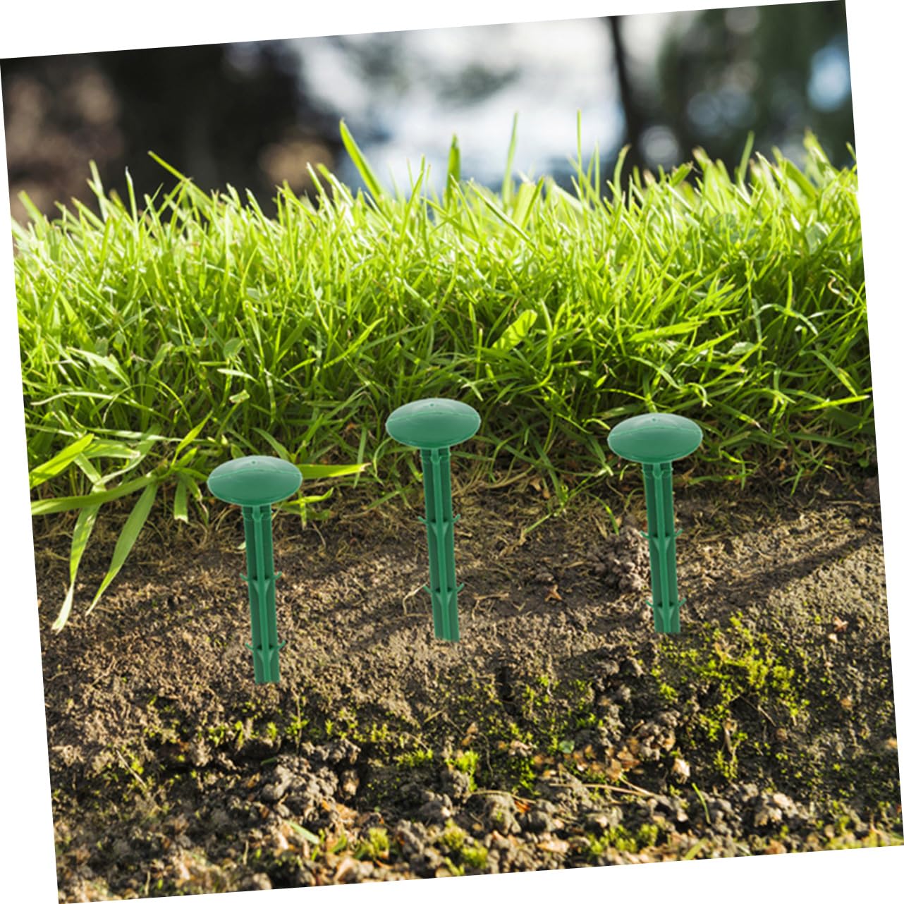 Piquets Fixation 150 Plastique Verts de Jardin en Pièces Extérieure