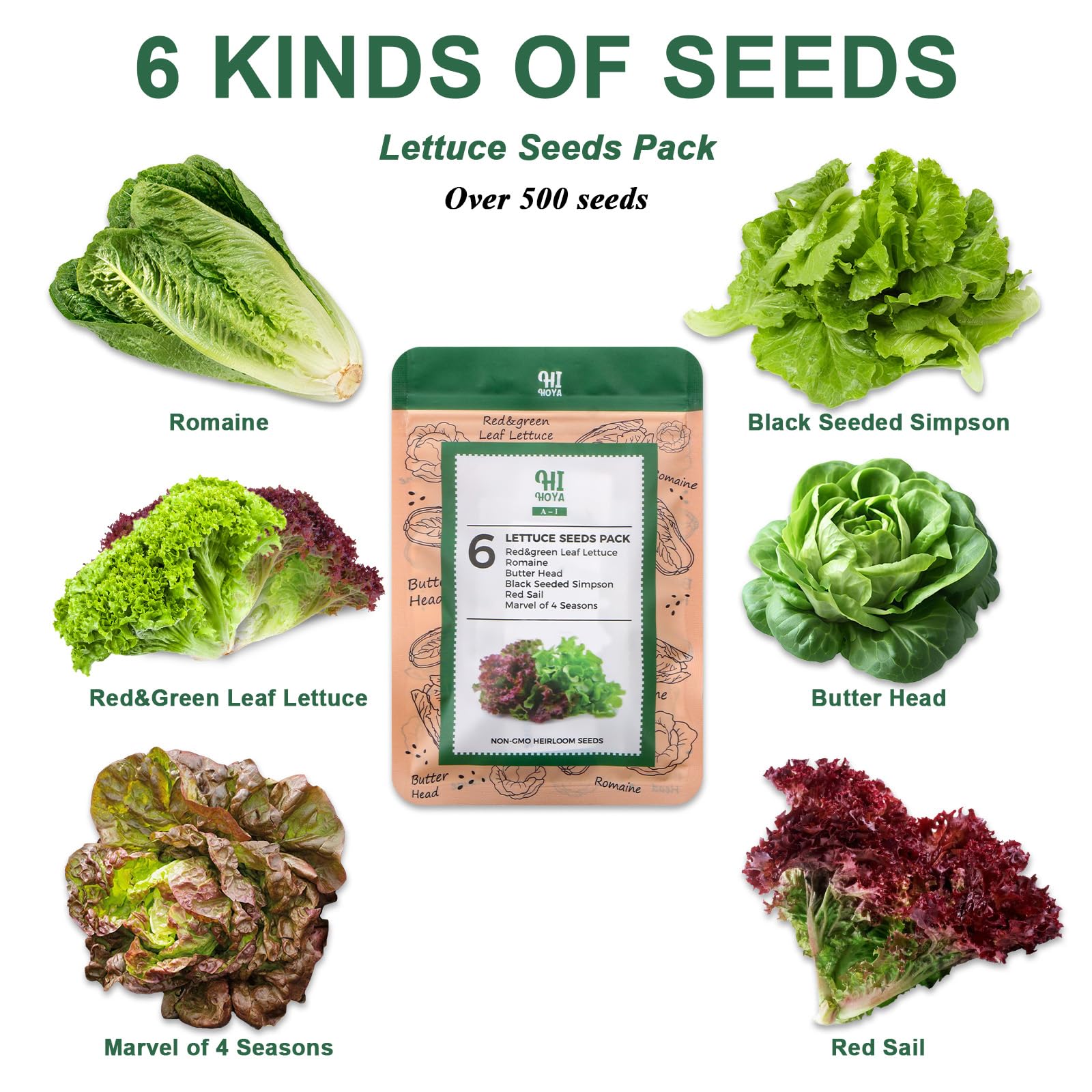 Kit Grow Anything para sistema de cultivo hidropónico