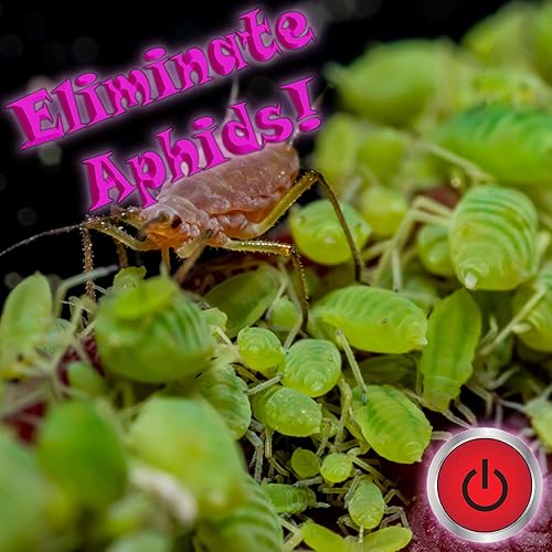 Miniatura 7 de RAW Mighty 1 gal - NPK Industries te trae esta piretrina lista para usar para un control seguro y eficaz de insectos