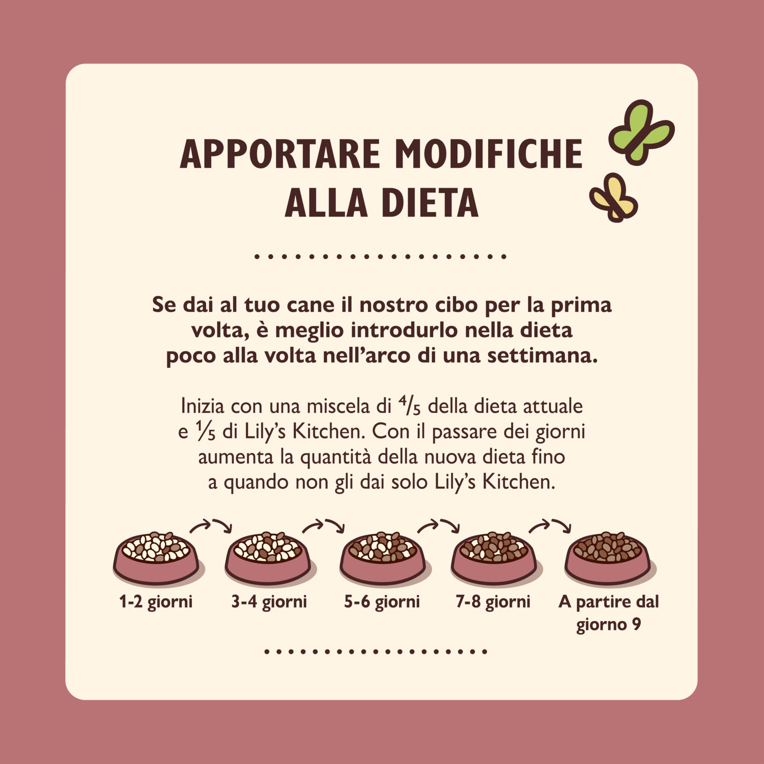 Lily's Kitchen Prodotto con ingredienti naturali Cibo umido per Cani con Terrina, Cervo e Cinghiale 6 x 400 g