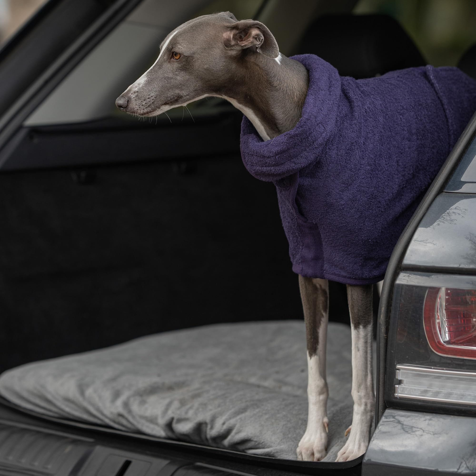 Ruff and Tumble Dog Drying Coat - Classic Collection, Blackberry - Image 4