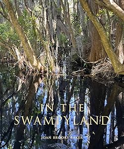 In the Swampyland