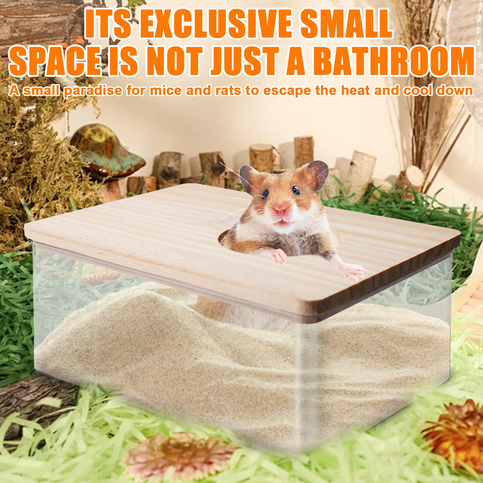 Hamster Salle de bain de sable transparent avec échelle et pelle, carré