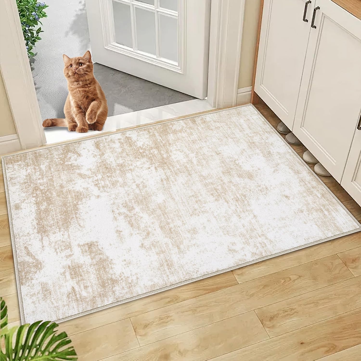 Area Rug Washable Rug 2x3: Entryway Rug Small Modern Abstract Rug Anti-Slip Backing Doormat Stain Resistant Soft Indoor Carpet for Bedroom Kitchen Bathroom Hallway(Beige,2'x3') Beige 2'x3'
