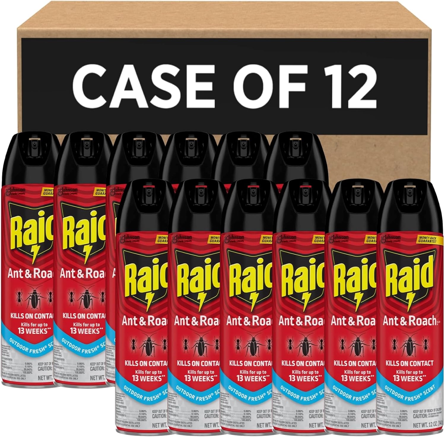 SC Johnson Professional Raid Ant and Roach Killer Insecticide Aerosol Spray, Outdoor Fresh Scent, 12 oz, 12 Pack