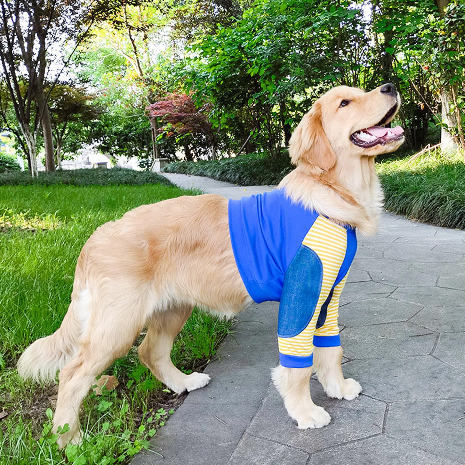 Pigiama Corto Per Cani Di Taglia Grande - Maglietta A Maniche Corte Con Strisce Giallo E Bianco - Anti Freddo E Anti Leccature