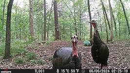 Review Image by Nikki Jerabek Nikki Jerabek