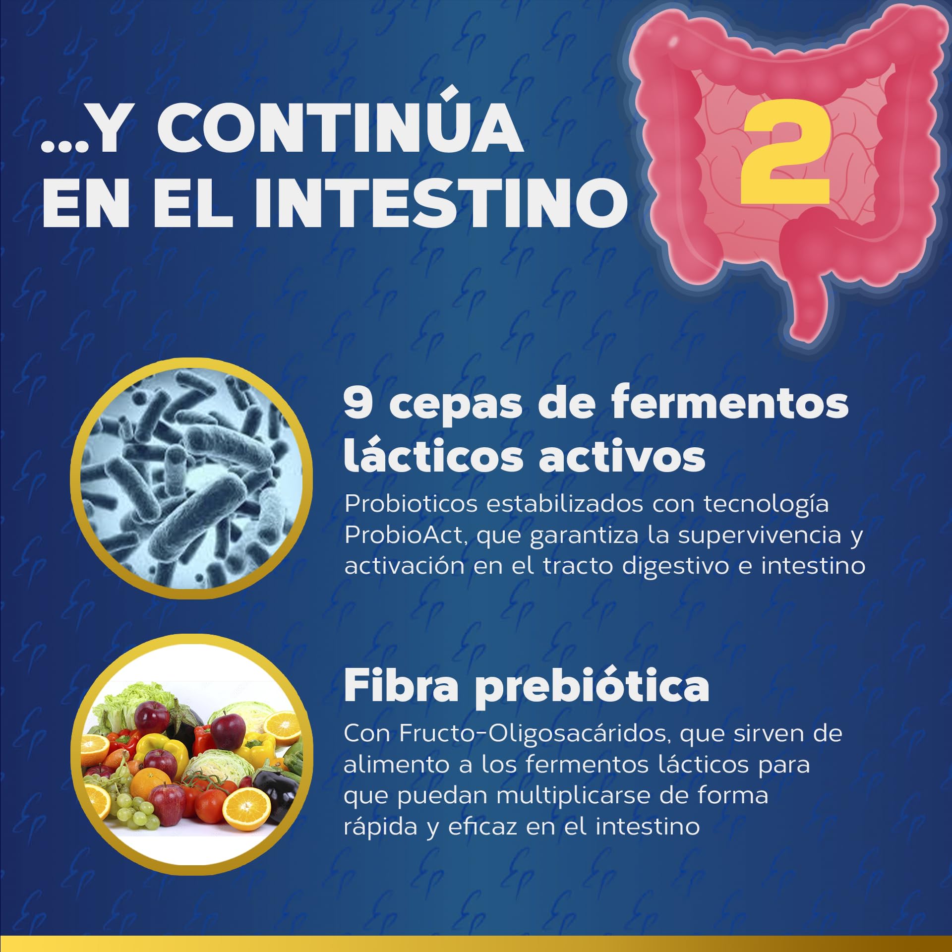 Enzimas Digestivas Estado Puro | 18 Enzimas Digestivas con Probióticos + Prebióticos | Mejora la digestión y la Absorción de Nutrientes | Sin Gluten | 80 Cápsulas Vegetales | TONGIL