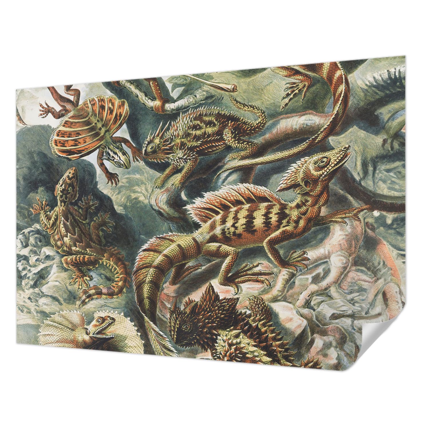 Décor mural adhésif 208x146 cm décoration panoramique