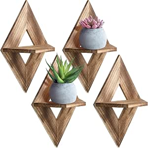 Amazon.com: Kigley 4 Pcs Geometric Wall Plant Shelf Set Rustic Wood ...