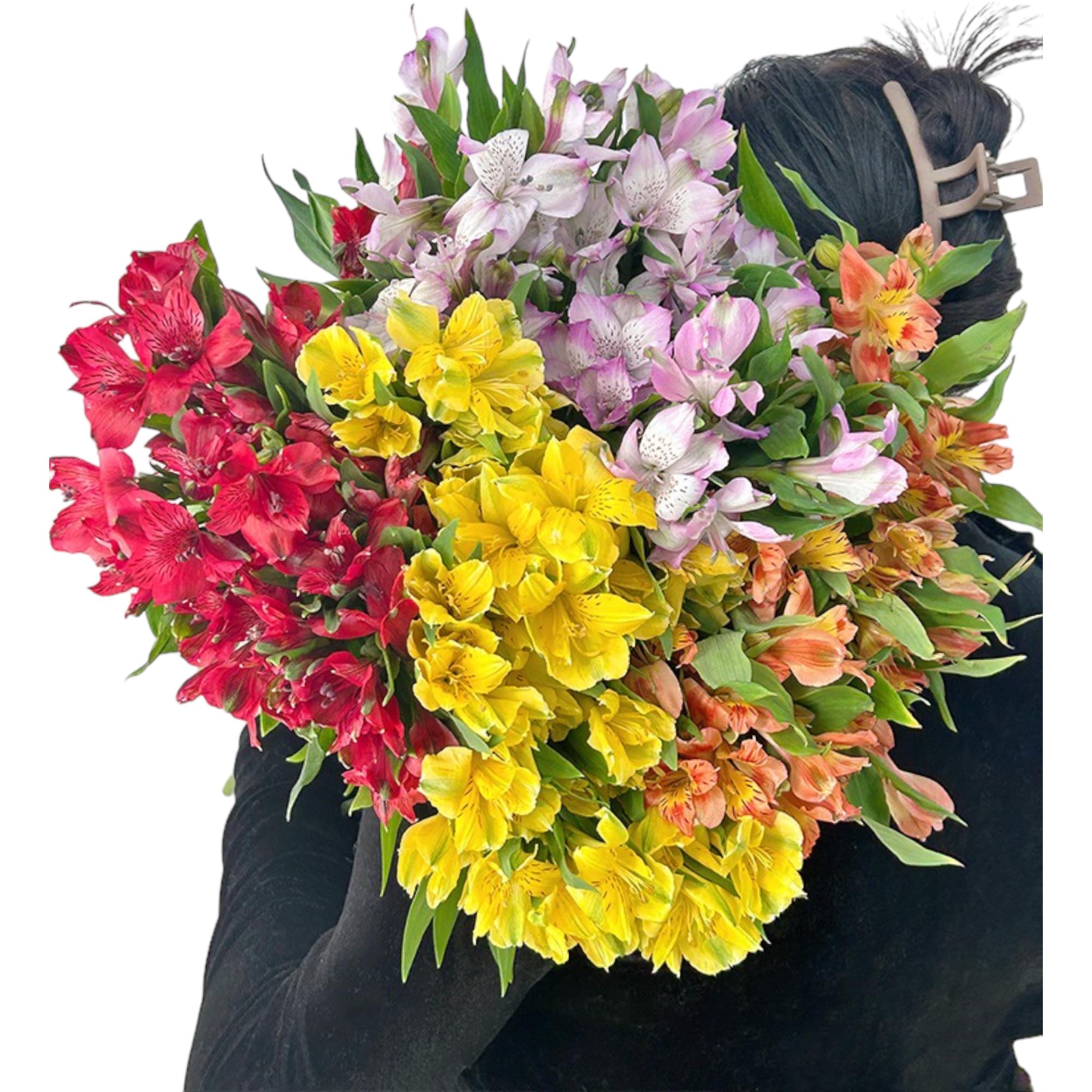 30 stem random mix Rainbow Alstroemeria Fresh Cut Flowers Gift for Home Birthday Anniversary Get Well Sympathy Friendship and Love