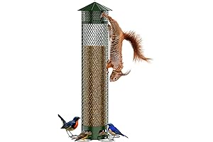 Real Squirrel Proof Bird Feeder for Outdoors