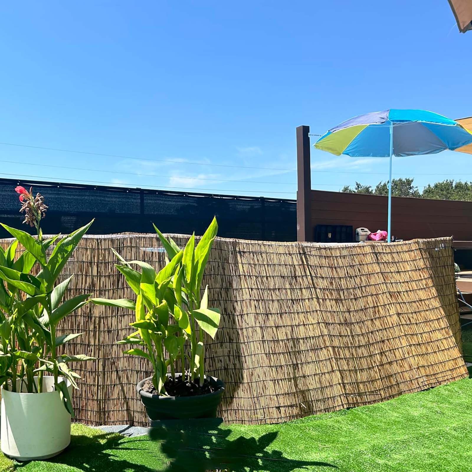 Valla Cañizo Natural De Bambú Divisor De Valla,Cañizo De Bambu Pelado De Privacidad Parasol Impermeable,Rollo De Caña para Valla Respetuoso del Medio Ambiente,para Jardín, Villa(180 x 600 cm (H x B))