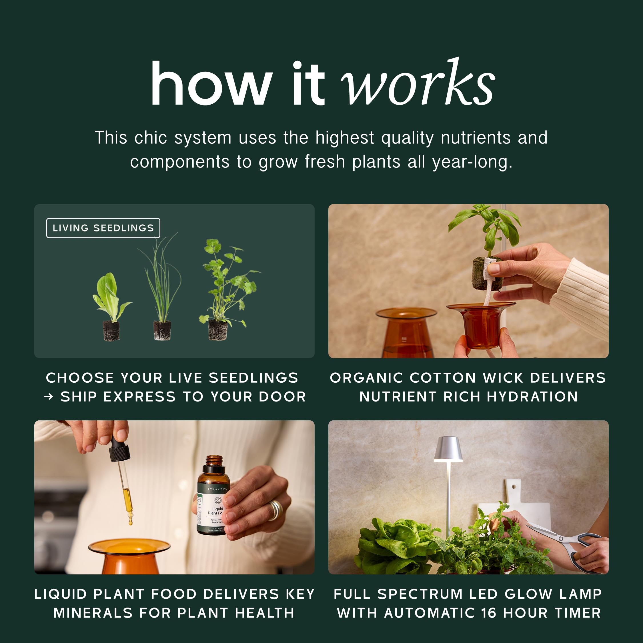 Lettuce Grow Ensemble de comptoirs – Vase pour plantes d'intérieur comestibles pour plantes et laitues – Système hydroponique pour petits espaces – Décoration d'intérieur et cadeau – avec plantes