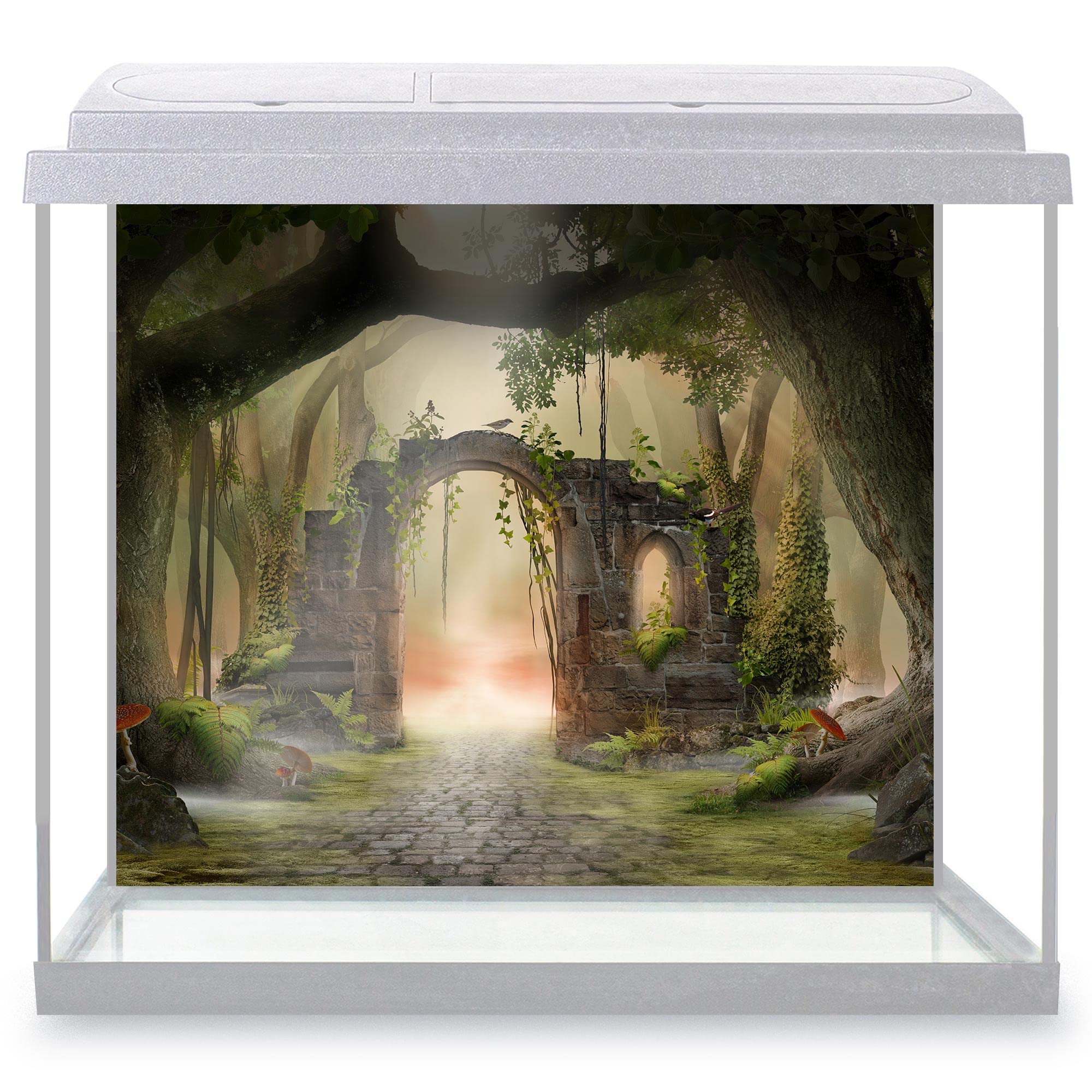 Aquarium Fish Tank Background 62x52 cm - Archway Enchanted Fairy Forest Landscape Misty Dark Mood Fantastic View Beauty Nature Static Cling Vinyl Vivarium Terrarium External Application #500196