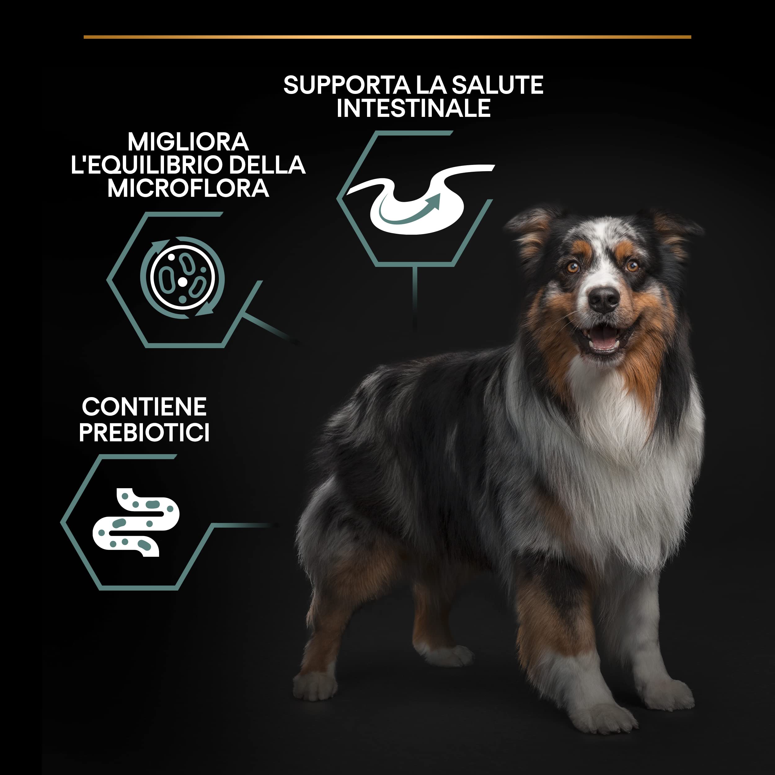 PURINA PRO PLAN Sensitive Digestion Medium krokiety dla dorosłych psów z jagnięciną, 4 worki 3 kg