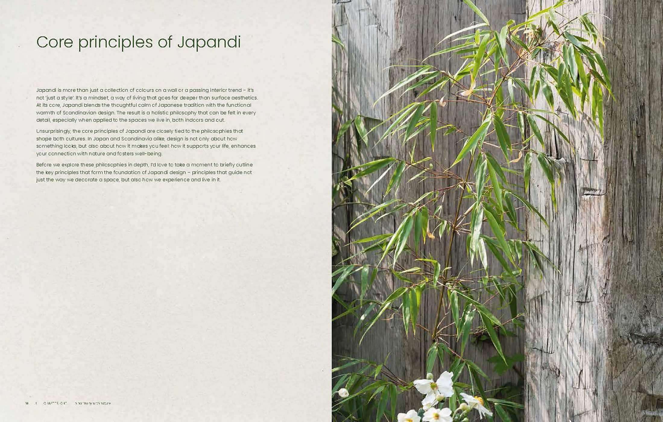 Japandi Outdoor Living