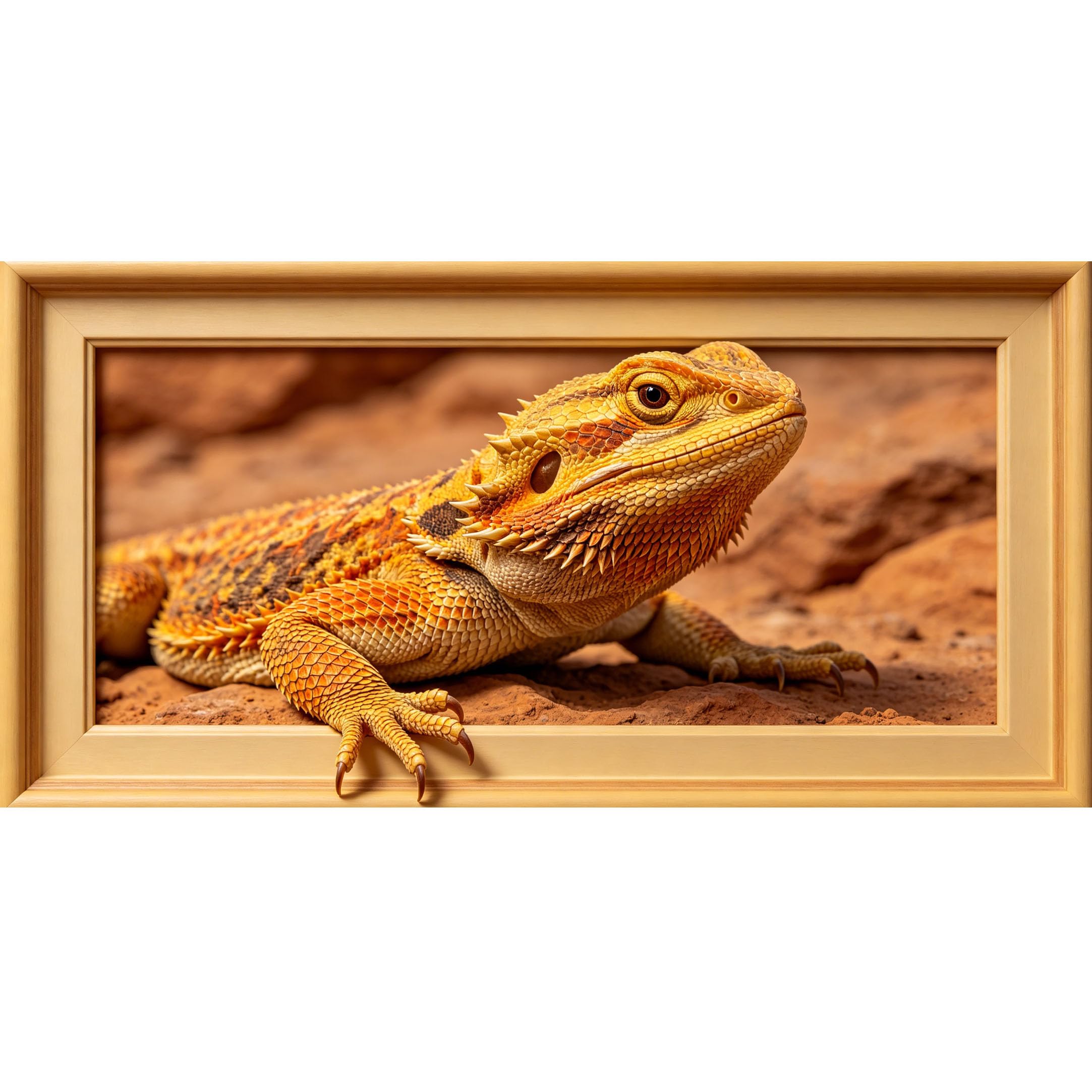 Agglomerix 3D Framed Wall Art Bearded Dragon Desert Reptile Wildlife Realistic Textured Style Large Size Self-Adhesive Removable Wall Decor Prints Artwork for Living Room Bedroom Office