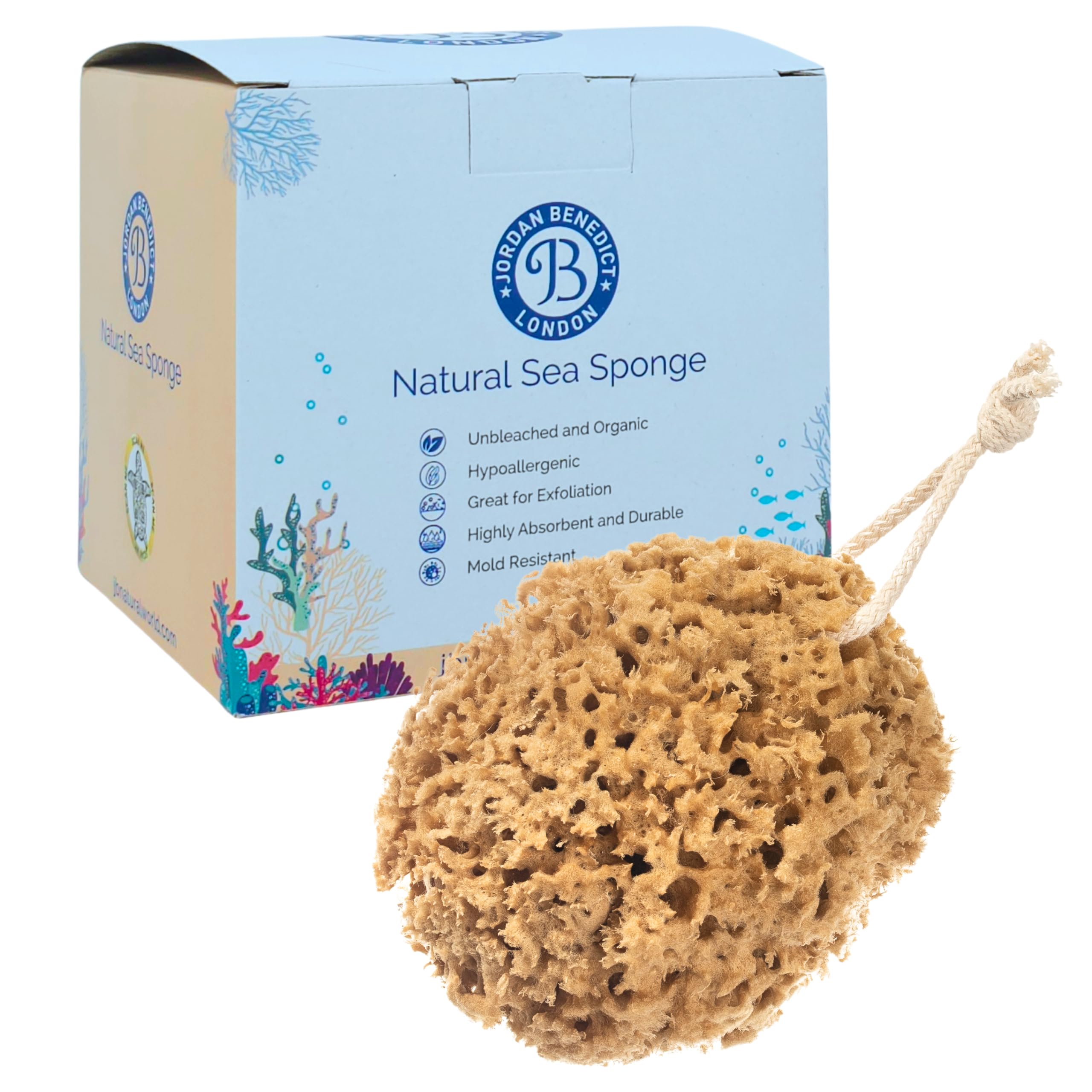 Jordan Benedict Esponja de mar natural para baño y ducha para adultos y niños (L 1 unidad)
