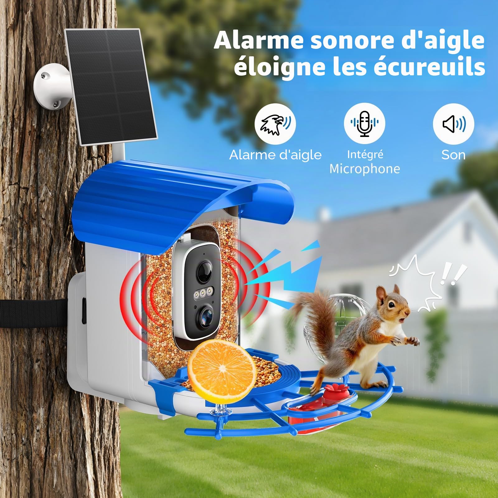NIORSUN Mangeoire à Oiseaux avec Caméra 2K, Solaire, Reconnaissance IA des Oiseaux, Vision Nocturne Couleur Mangeoire Oiseaux Exterieur IP65 Notification Instantanée & Enregistrement Automatique