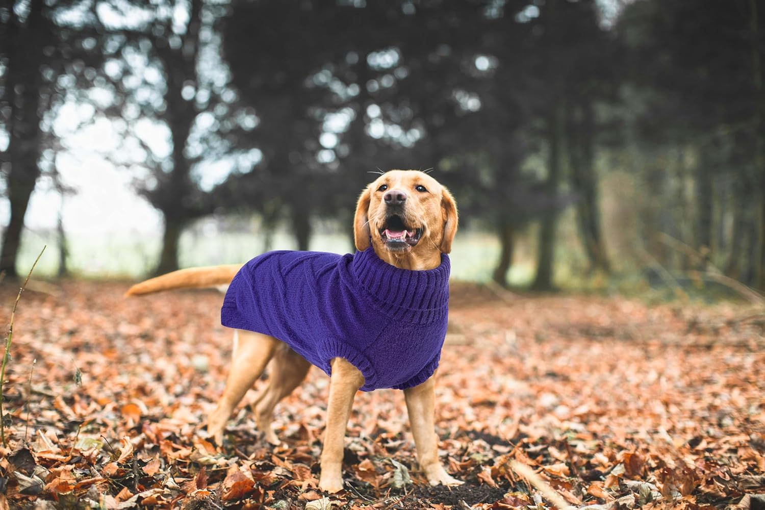 Queenmore XL Dog Sweater Christmas Holiday Pullover Sleeveless Turtleneck Knitted Sweater for Large Dogs Winter Pet Outfit for Labrador Pit Bull Xmas Party Outfits (Orchid, XL)