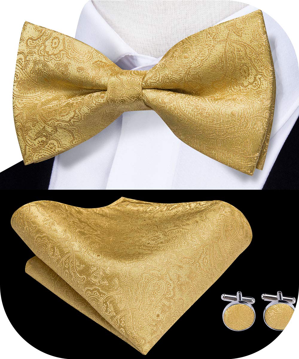 Dubulle Mens Solid Color Bowtie Sets Woven Pretied Bowties for Men Wedding Business Gift