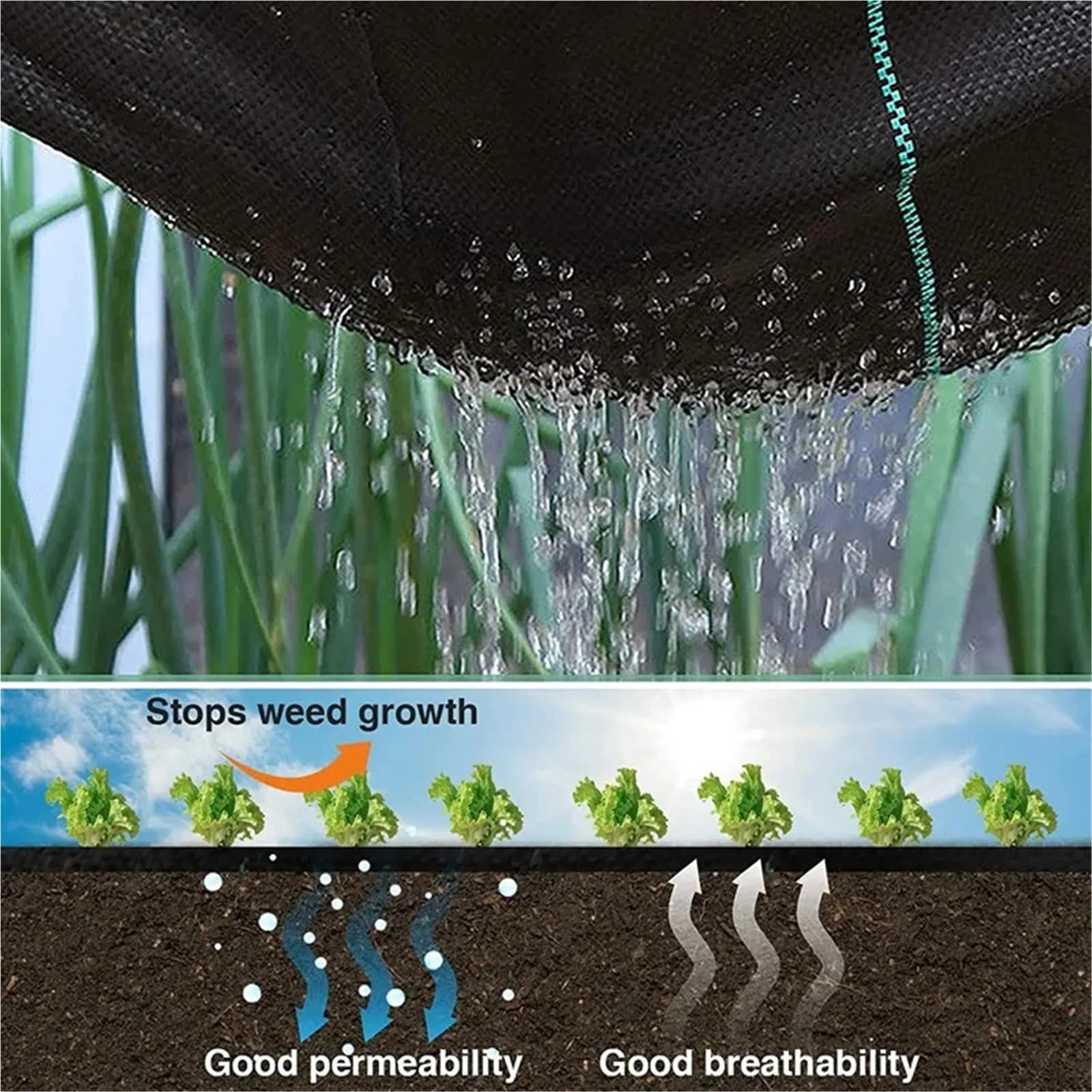 Manta Antihierbas Paño antihierba a Prueba de Rayos UV, Control malezas en invernaderos agrícolas(120x1000CM)