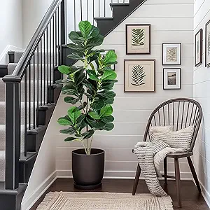 5FT Fiddle Leaf Fig Artificial Tree Faux Floor Plant with Black Planter Pot, Potted Fake Fiddle Leaf Fig Tree for Indoor Outdoor Home Office Decor