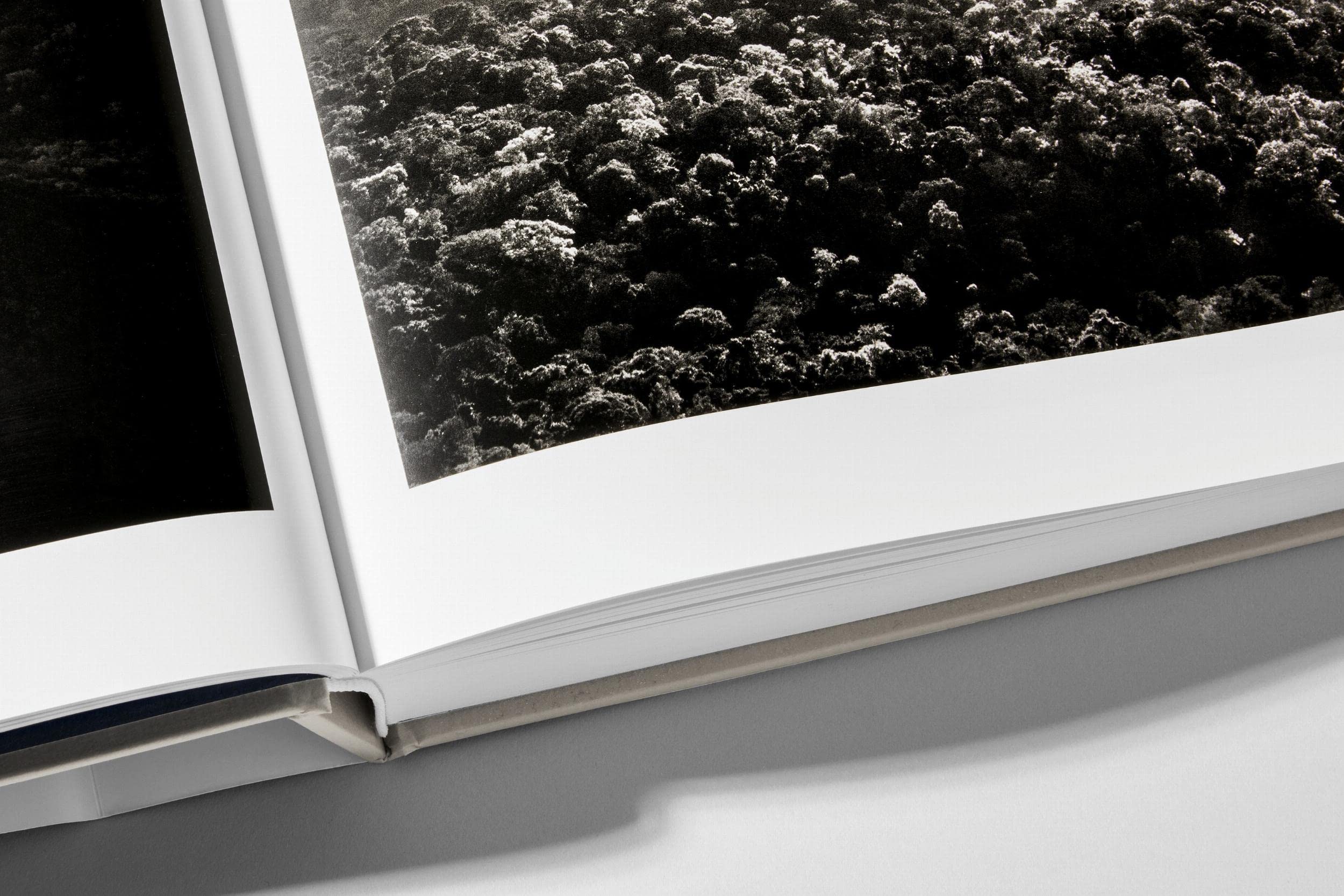 Sebastião Salgado: Amazônia