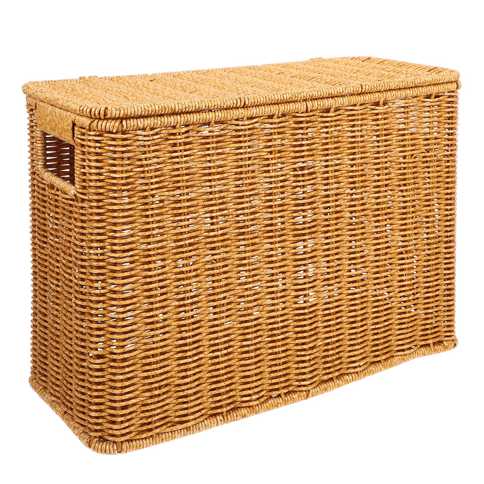 Cesto Stretto Intrecciato con Coperchio in Plastico, Contenitore Rettangolare per Verdure e Oggetti Vari, Capienza Ampia, Design Rustico per Arredamento da Tavolo