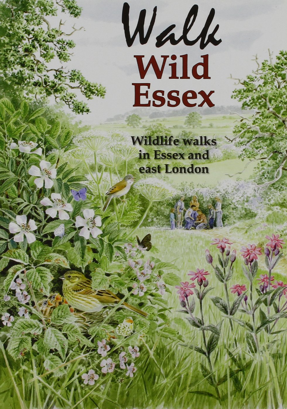 Walk Wild Essex 50 Wildlife Walks in Essex and East  by Tony Gunton PAPERBACK