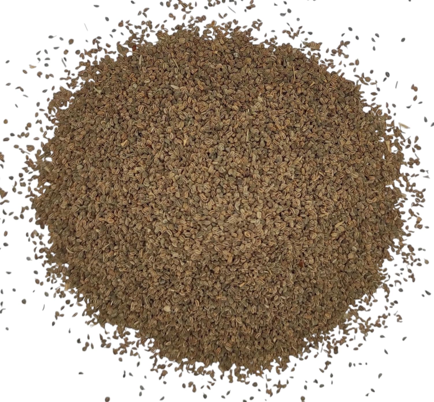 Semi Di Sedano Interi Essiccati 85g - 1.95Kg Apium Graveolens (220 grammi)