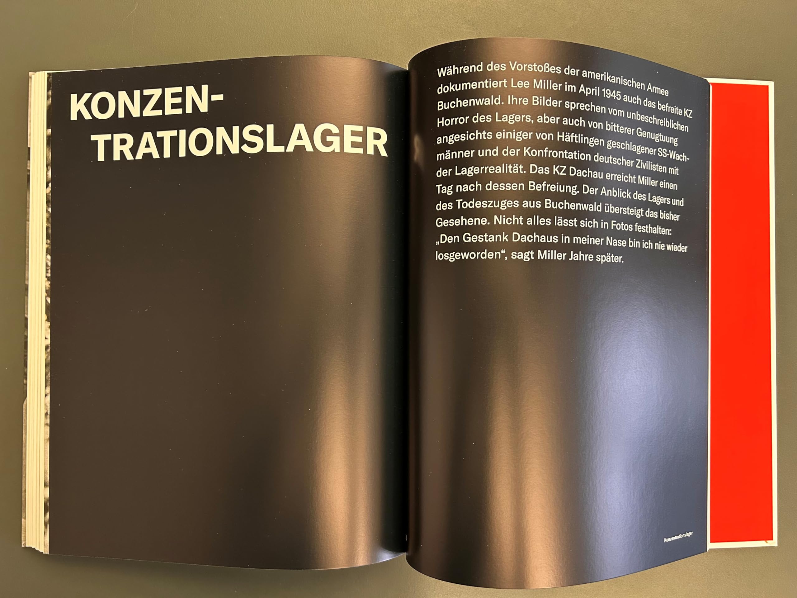 Lee Miller: Fotografin zwischen Krieg und Glamour (Bucerius KUNST Forum): Katalog ihrer berühmten Bilder