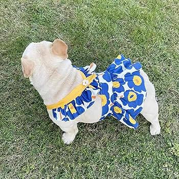 Amazon.co.jp: 犬服 春 夏 秋 ワンピース フレンチブルドッグ 服