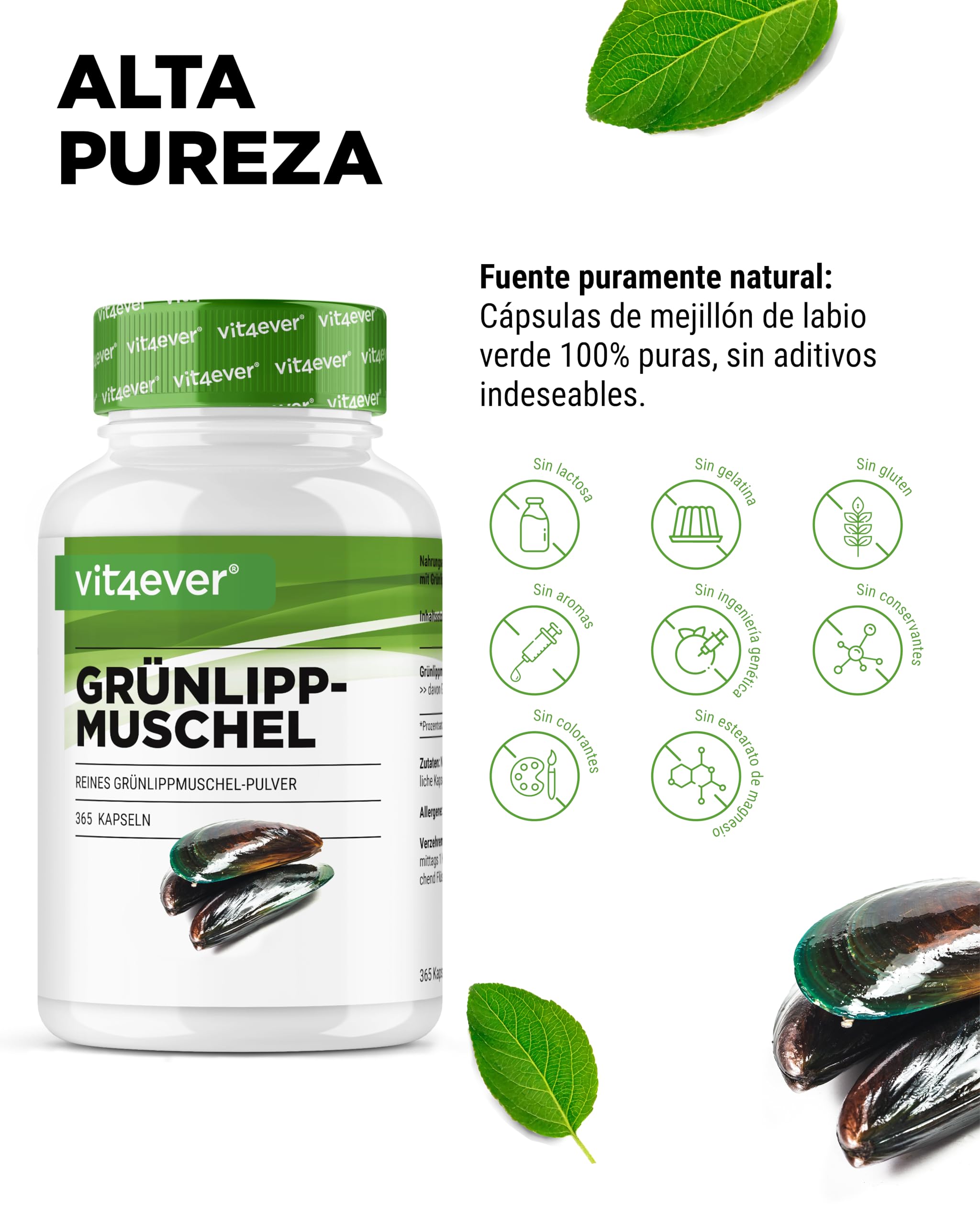Mejillón de labio verde - 365 cápsulas de 600 mg cada una - Con glicosaminoglicanos - Extracto altamente dosificado - 100% polvo de mejillón de labio verde de Nueva Zelanda sin aditivos