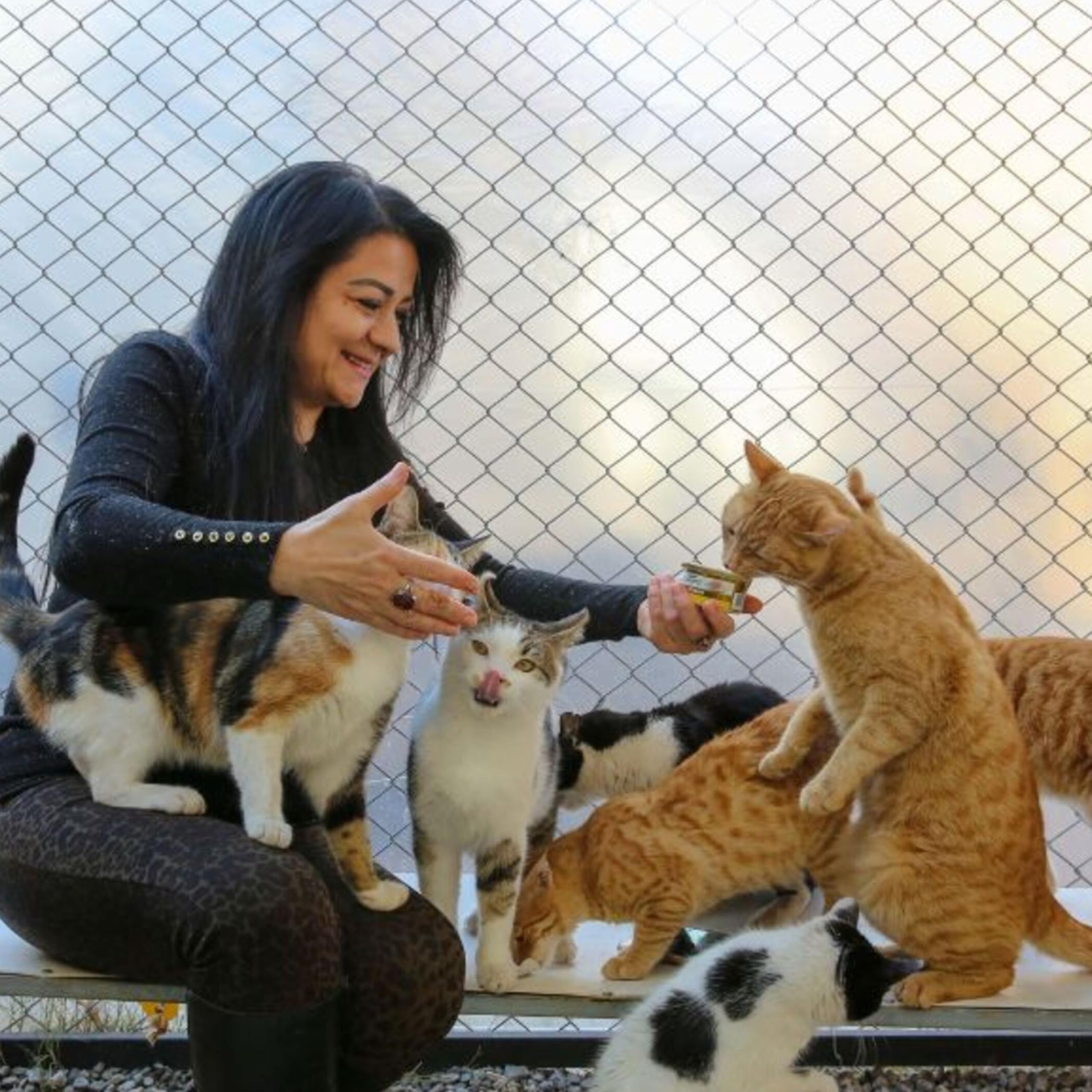 Katzennetz Balkon, Edelstahl verstärkt Bissriss UV- und witterungsbeständig Anti-Fall Netz für Haustiere, Sicherheitsnetz für Katze, kleines Catio für Wohnung Balkon Schutz (3.0x7.9m)