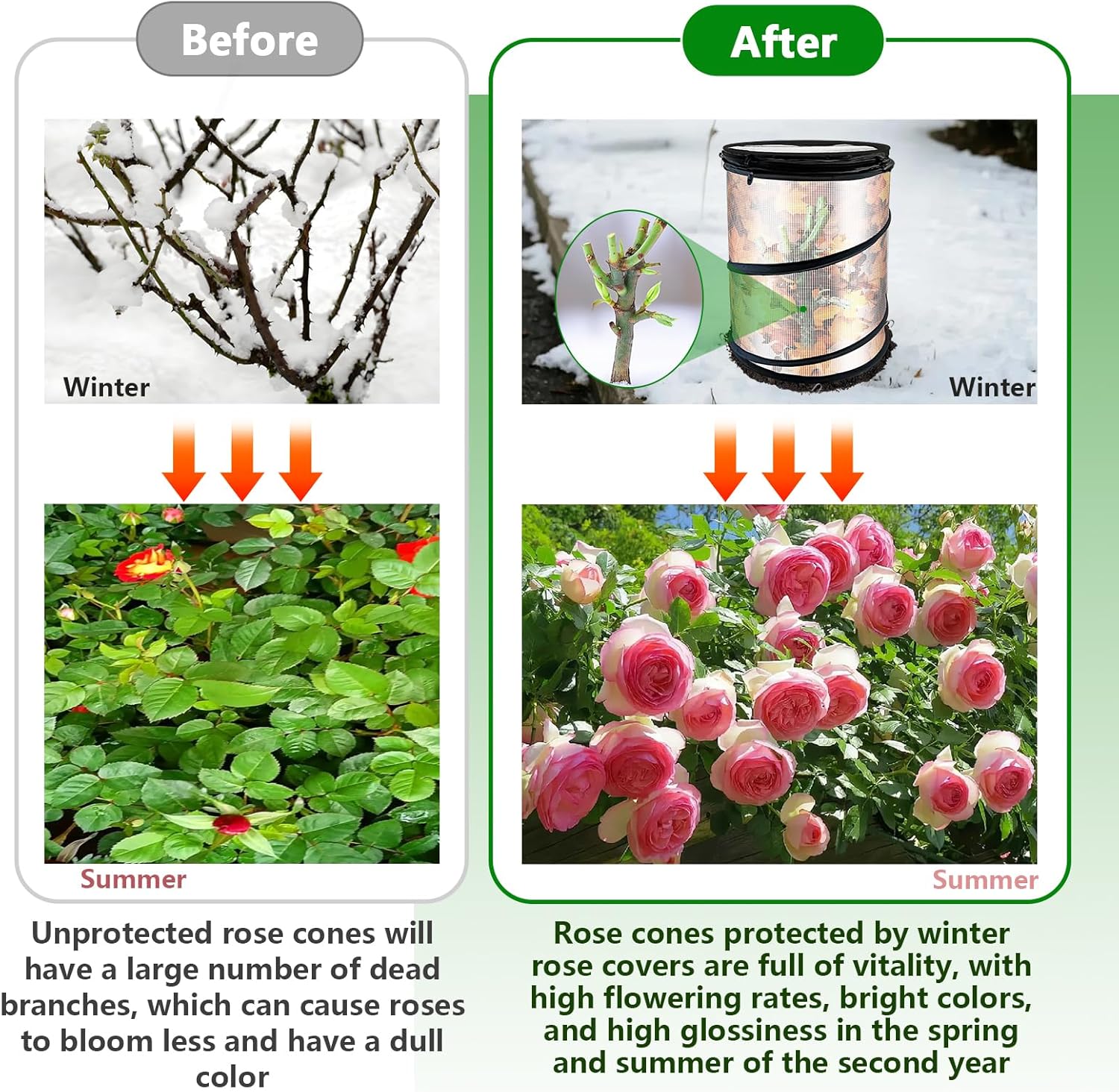 2 Pcs Rose Cones for Winter Protection with Stakes, Pop Up Winter Rose Bush Covers Freeze Protection to Protect Against Frost, Controlled Ventilation, Easy to Store, Reusable