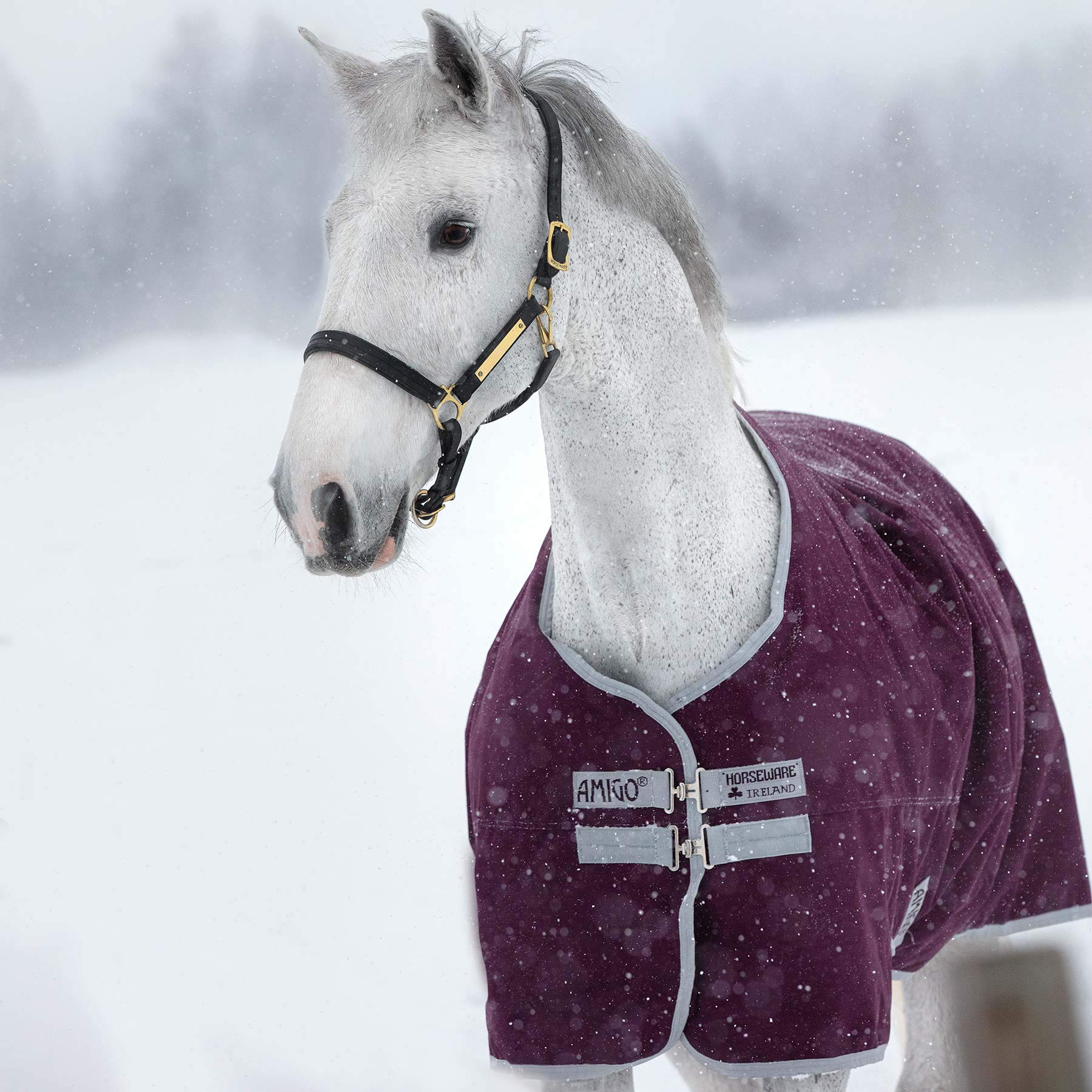 Horseware Manta para Caballos de Exterior Amigo Hero Ripstop Lite 200g