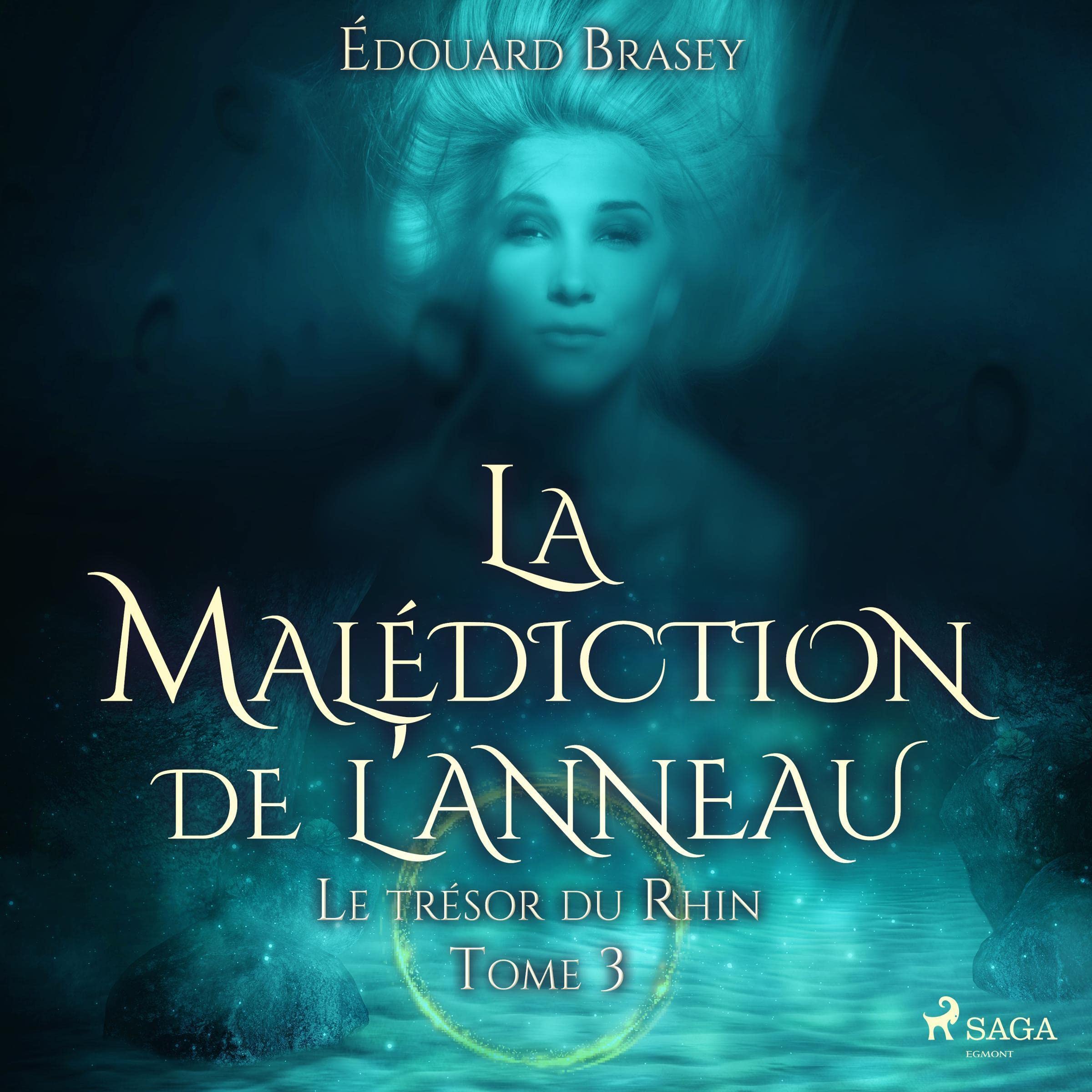 Cover art for Le trésor du Rhin