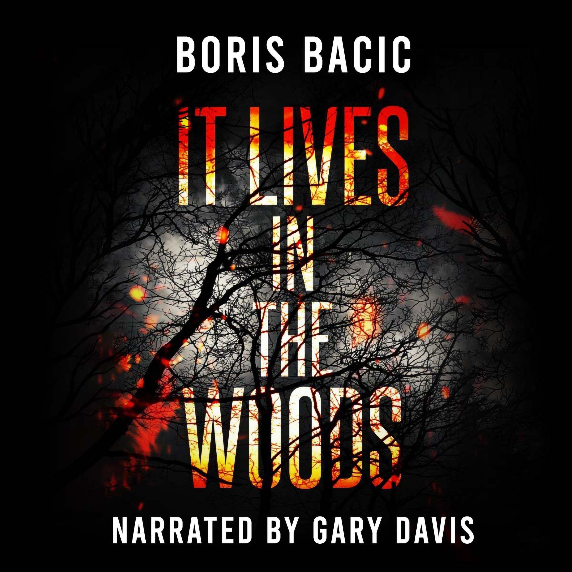Cover art for It Lives in the Woods