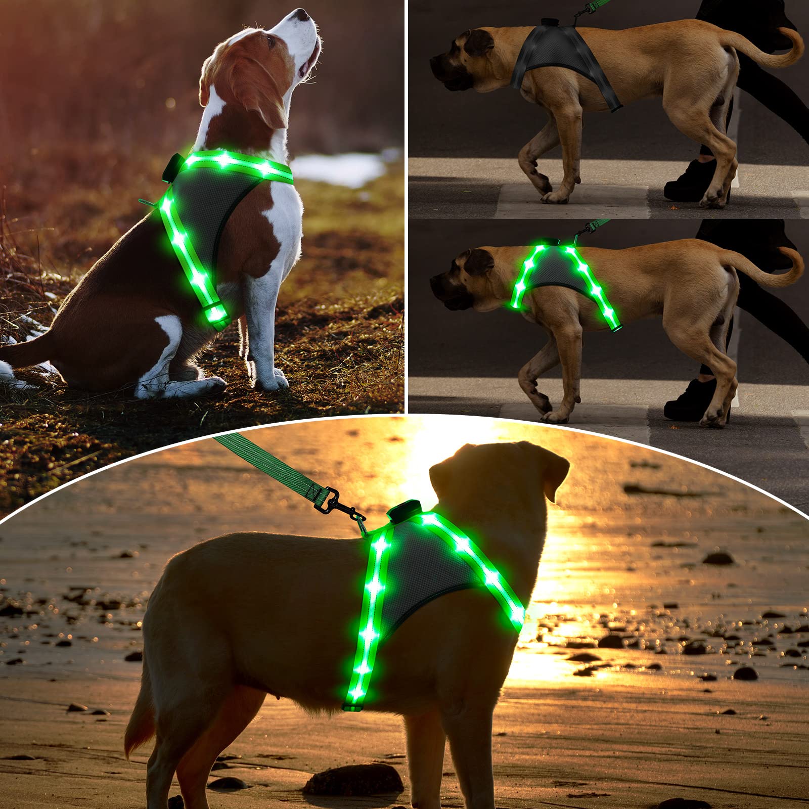 MASBRILL Hondenharnas met licht, lichtgevend, waterdicht, oplaadbaar, voor kleine, middelgrote en grote honden, geeft licht in het donker, voor wandelingen, zwart met groen, S
