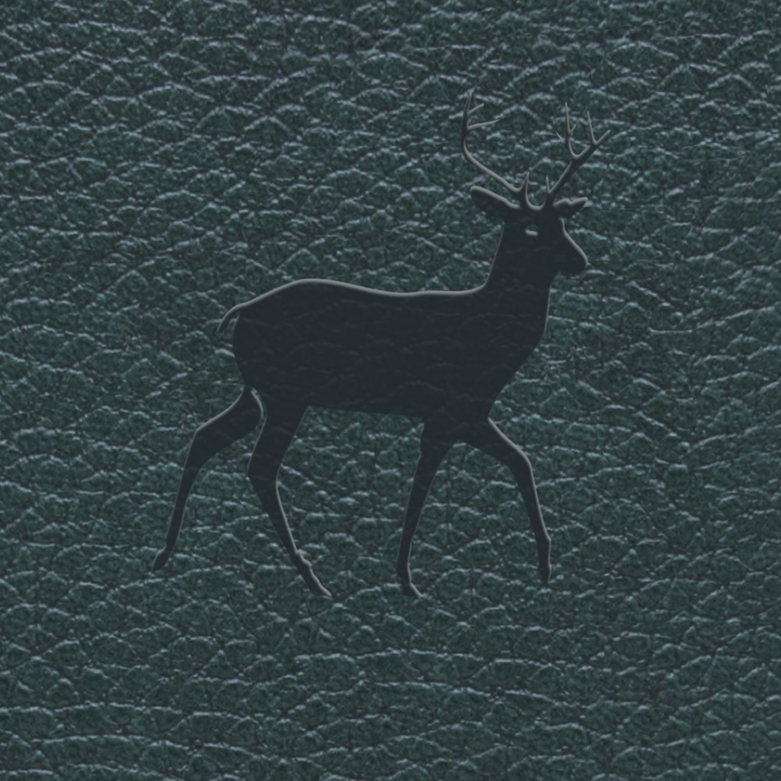 Dingbats* Wildlife Lined Journal Notebook A5, Vegan Leather Soft Cover, Ideal for Work Travel, Writing, with Pocket - Image 2