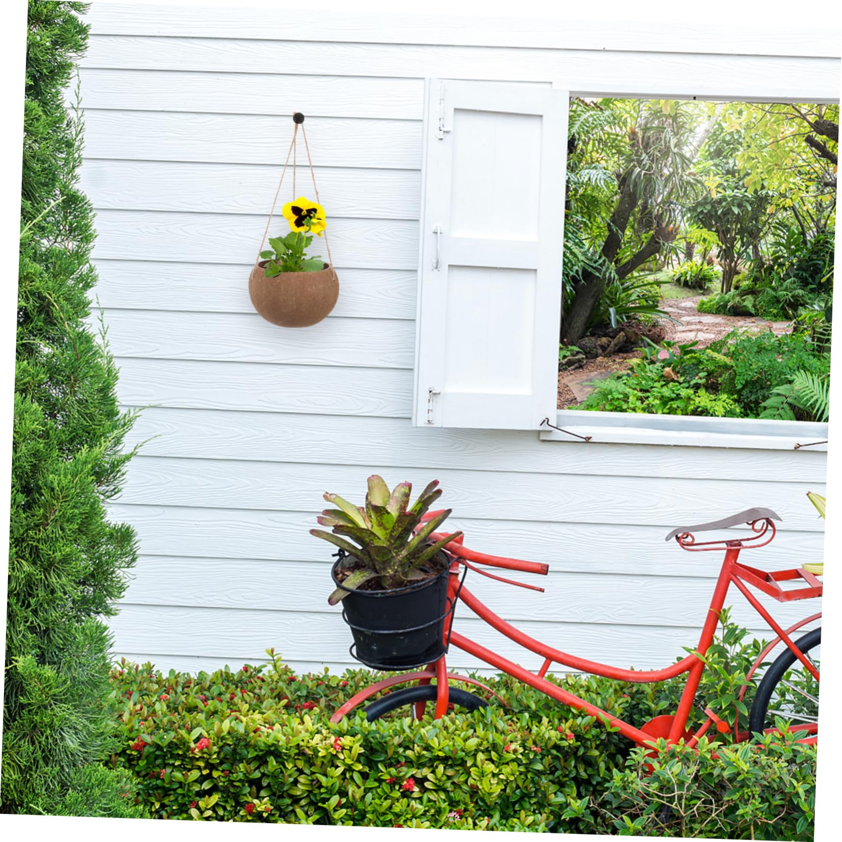 OFFSCH Coconut Shell Hanging Flower Pot Natural Indoor Outdoor Planter for Succulents Balcony Garden Home Decor with Durable Lanyard - Image 4