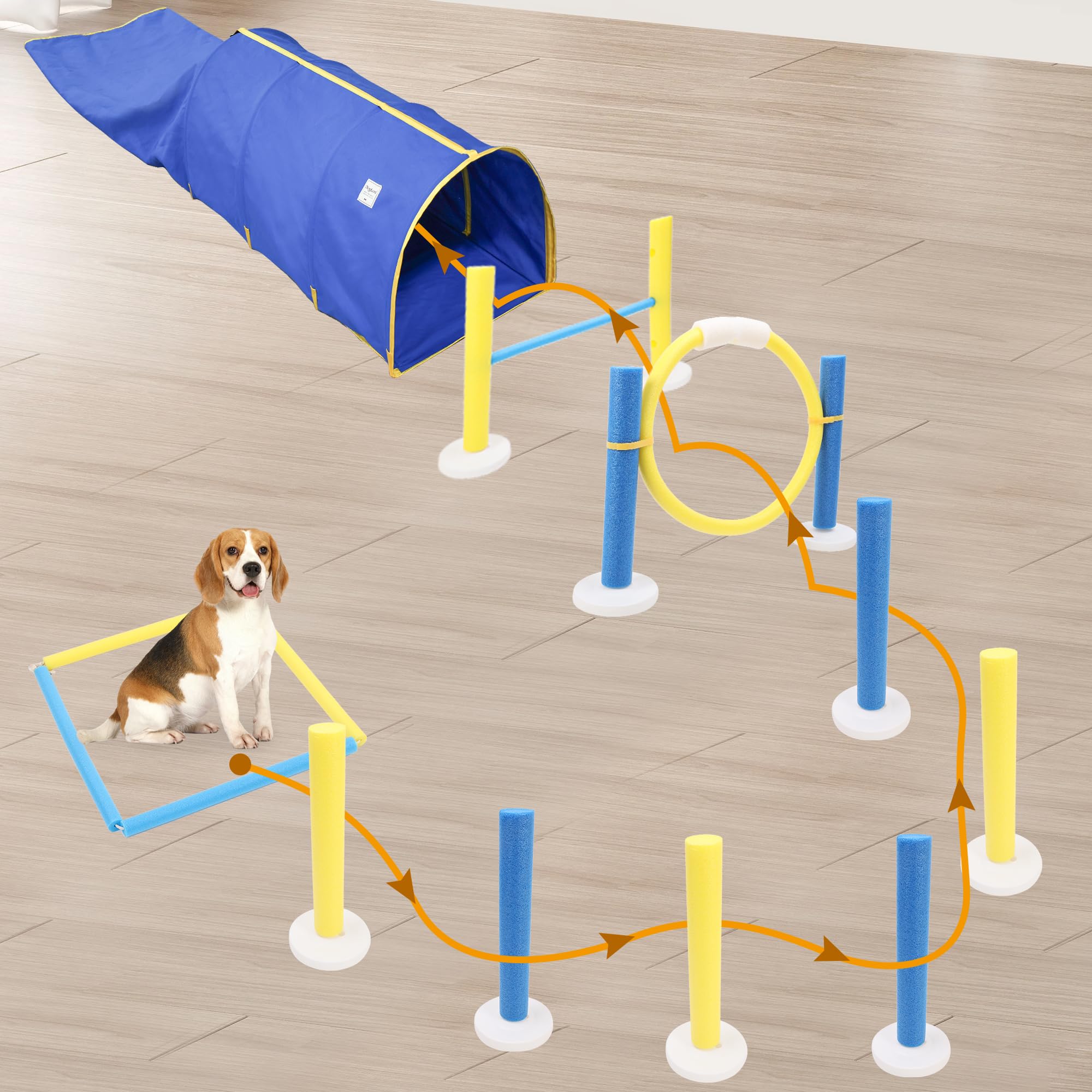 Agility-Trainingsgerät-Set für Haustiere, mit stabilem Tunnel, interaktives Hindernisspringring für den Innenbereich
